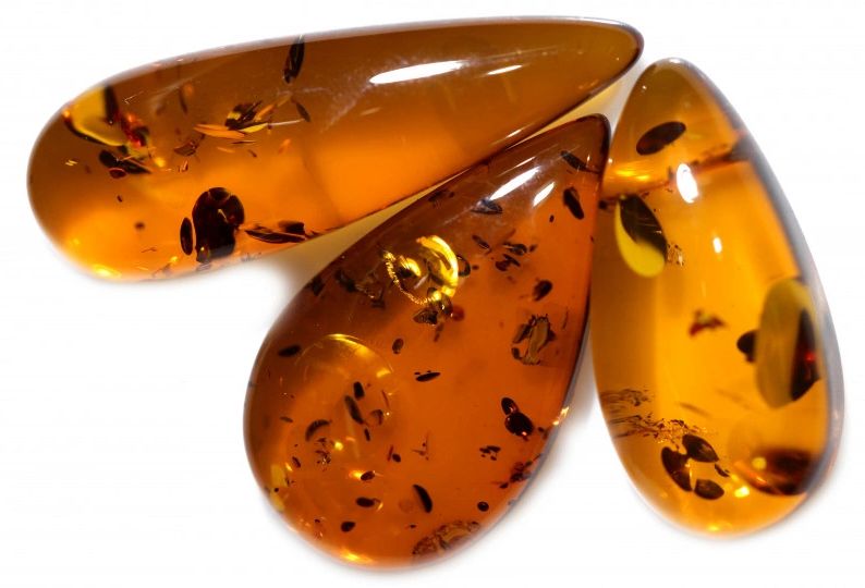 Ambre et copal : guide complet pour comprendre les résines fossiles